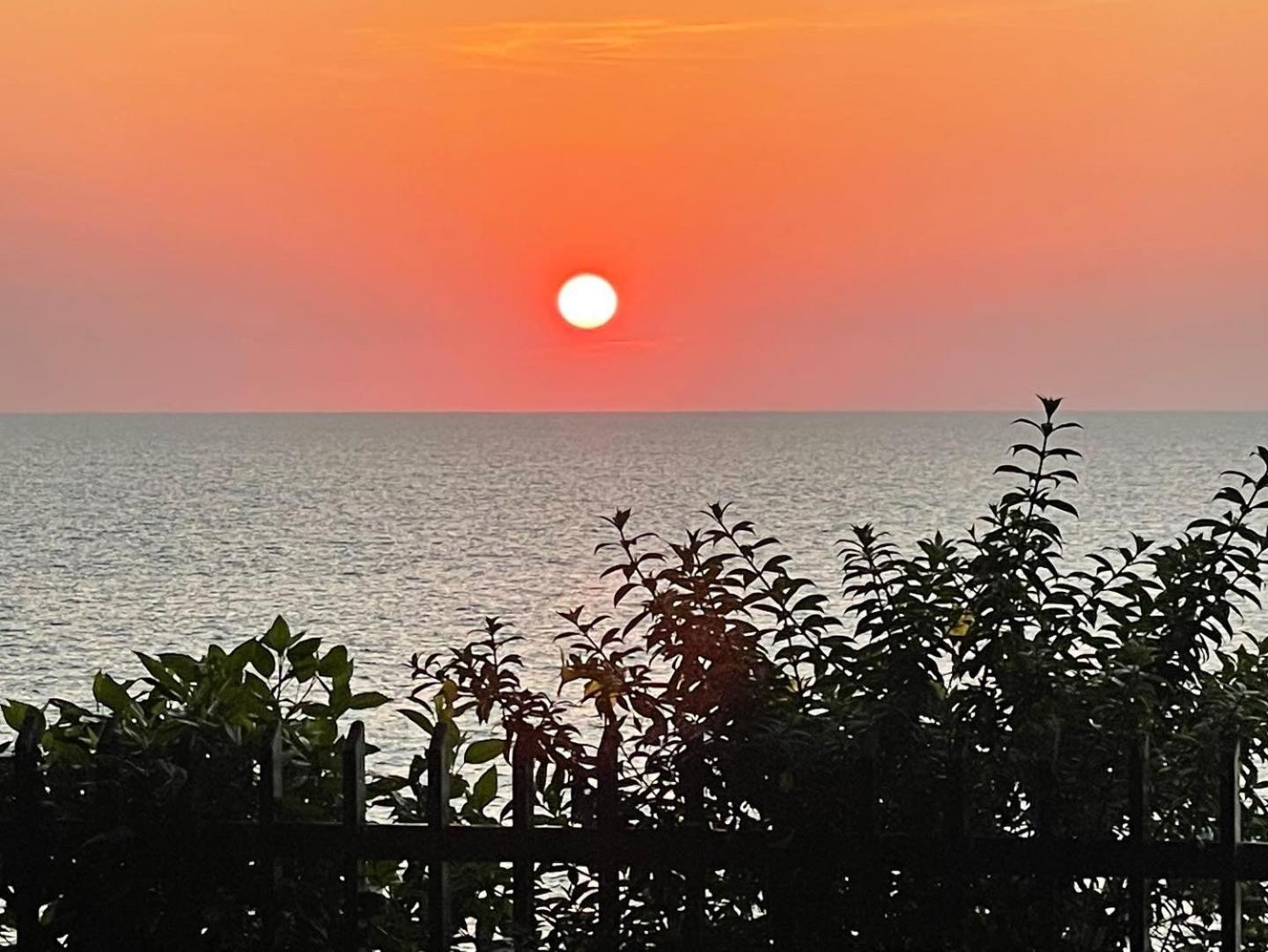 The First Place Yogaresort, Odayam فاركَالا المظهر الخارجي الصورة