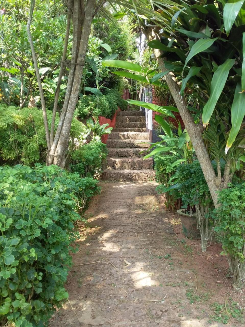 The First Place Yogaresort, Odayam فاركَالا المظهر الخارجي الصورة
